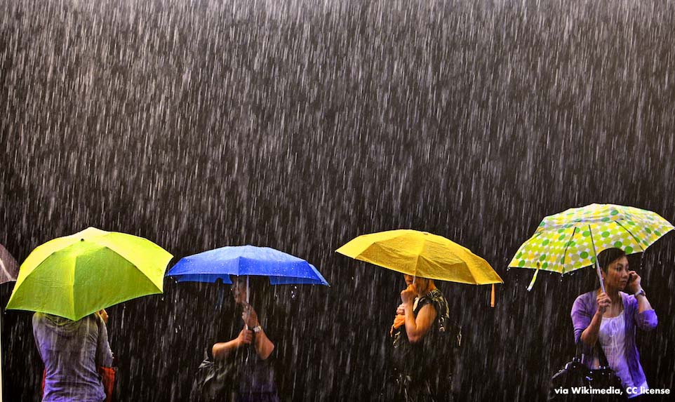 several women holding colorful umbrellas stand in the rain